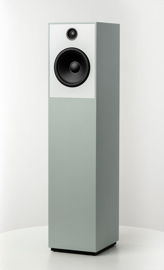 Guru 20